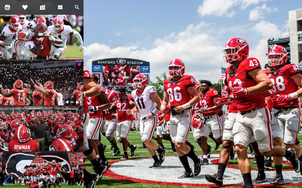 Georgia Bulldogs Football