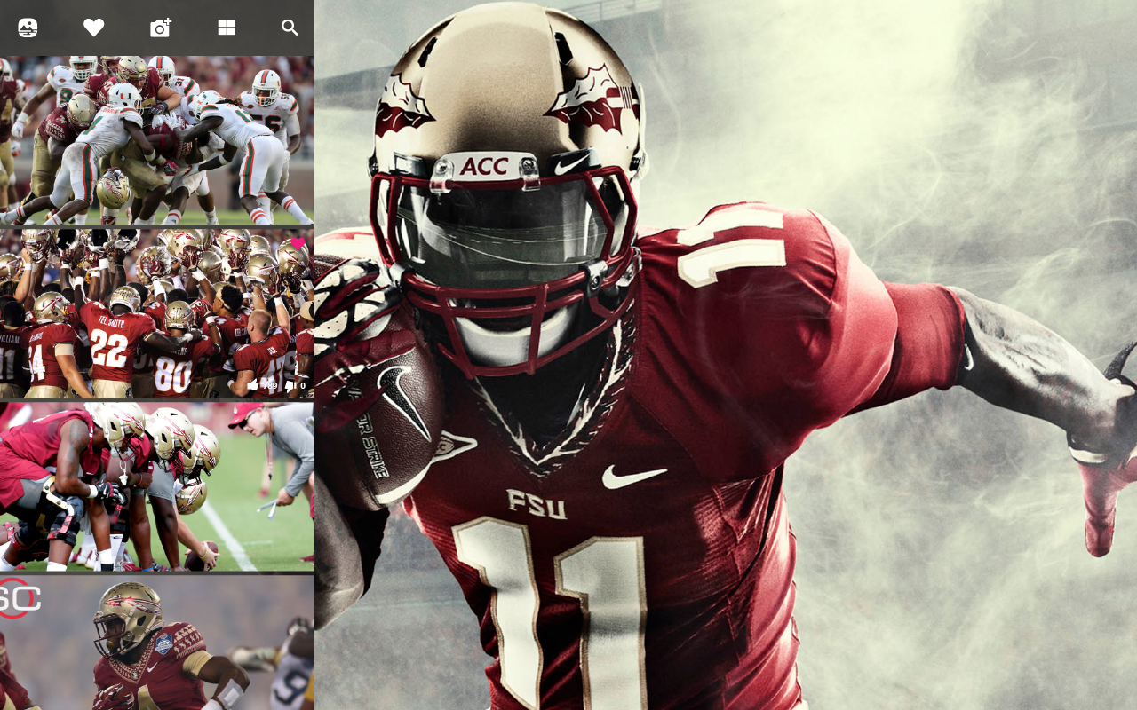 Florida State Seminoles